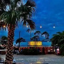 a palm tree in front of a restaurant