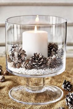 an image of a candle with pine cones in it