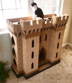 a black and white cat sitting on top of a castle like structure in front of a window