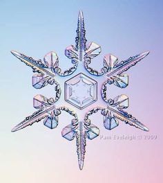 the snowflake is shaped like a star