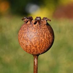 a close up of a metal object on a stick with grass in the back ground