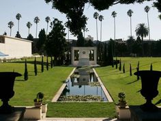 an outdoor garden with water and trees in the background, surrounded by tall palm trees