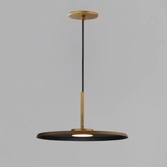 a black and gold pendant light hanging from a ceiling fixture with an oval design on it