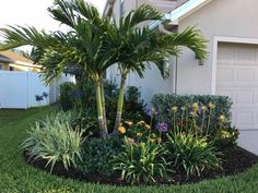 a palm tree in the middle of a flower bed