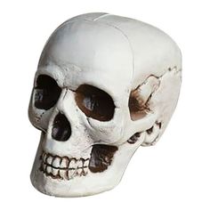 a white human skull with black eyes and teeth on it's head, viewed from the side