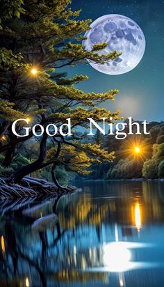 the words good night are lit up in front of a lake with trees and moon