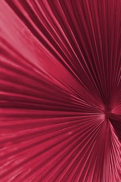 a close up view of a red umbrella that is in the middle of an image