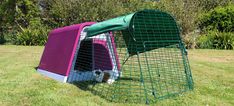 a large purple and green cage with a dog inside in the grass next to trees