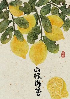 a painting of lemons on a branch with chinese characters written in the bottom right corner