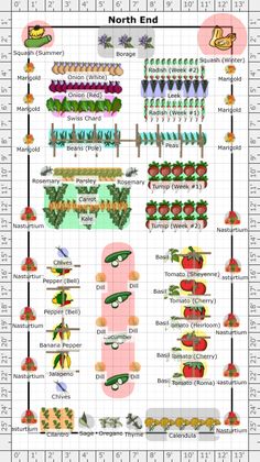 an info sheet showing the different types of vegetables and their names in each language, including numbers