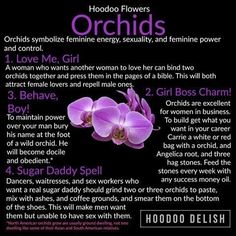 Orchid Witchcraft, Hoodoo Flowers, Hoodoo Ingredients, Ms Avi, Hoodoo Conjure Rootwork, Solitary Witch, Hoodoo Conjure