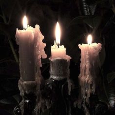 three lit candles sitting on top of a table