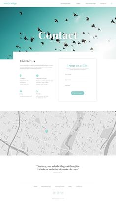 an image of a website with birds flying over it