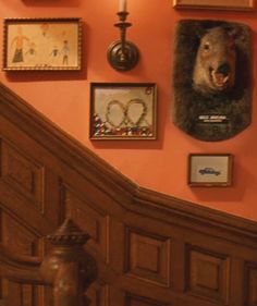 there is a bear head mounted on the wall next to some pictures and other items