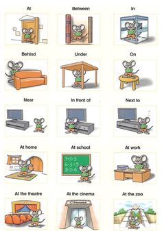 a poster with pictures of different types of objects in english and spanish, including an image of