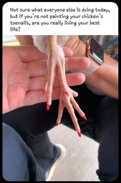 someone is holding their hand out to show off the bird's long legs and claws