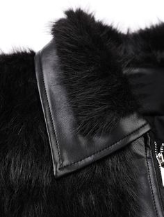 Fabric: Faux Fur Zip Up, Elk, Faux Fur, Zip Ups, Van, Fabric, Black