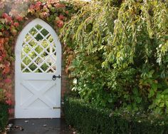 an arched white door surrounded by greenery