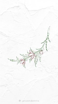 an image of a plant that is on the side of a white paper sheet with green and red leaves