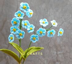 small blue flowers with yellow centers in a vase