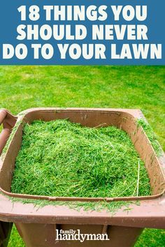 Overseeding Lawn, Lawn Renovation, Organic Lawn Care, Homestead Ideas, Growing Grass, Lawn Design