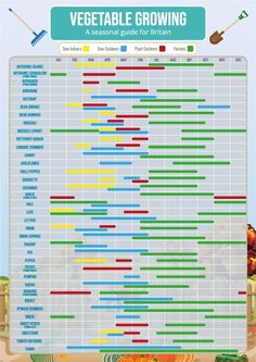 the vegetable growing guide is shown in this graphic diagram, which shows how many vegetables are grown