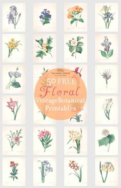 the 50 free floral vintage botanical printables