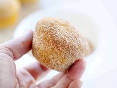 a person holding a sugared donut in their hand with oranges behind them