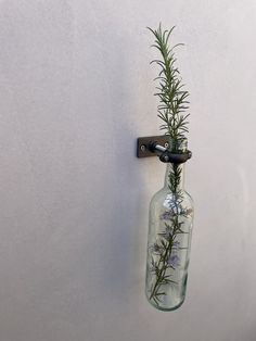 a bottle hanging from the side of a wall with a plant in it's mouth