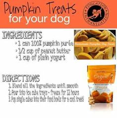 pumpkin treats for your dog with instructions