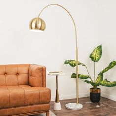 a living room with a couch, lamp and potted plant