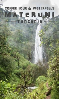 a waterfall surrounded by trees and greenery with the words coffee tour & waterfalls maternui