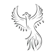 a black and white drawing of a bird with its wings spread out in the air