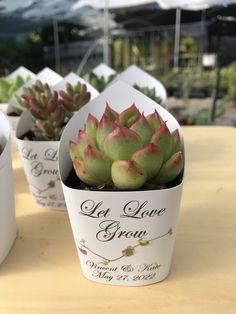 small succulents are sitting in white containers on a table with the words let love grow