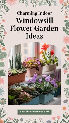 flowers and plants with the words charming indoor windowsill flower garden ideas on top of them