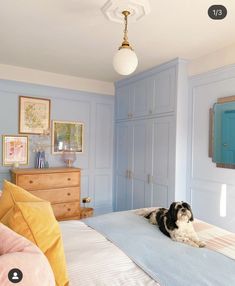 a dog laying on top of a bed in a room with blue walls and furniture