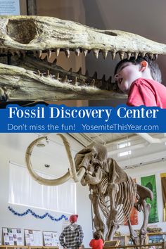 the fossil discovery center is full of dinosaurs and other life - like things to see