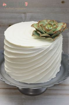 a white frosted cake with a succulent top on a gray platter