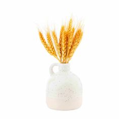 a white vase with two stalks of wheat sticking out of it's top, against a white background