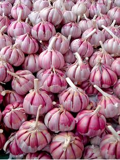 bunches of garlic are piled on top of each other