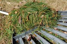 a pile of green grass sitting on top of a metal grate in the grass