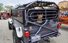 there is a dog that is in the back of a truck