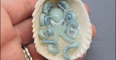 a hand holding an octopus in a shell