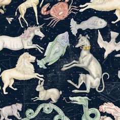 an image of zodiac signs and animals in the night sky with stars on black background