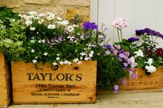 two wooden planters filled with purple and white flowers