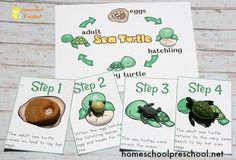 four cards with pictures of sea turtles on them and the words, how do they spell?