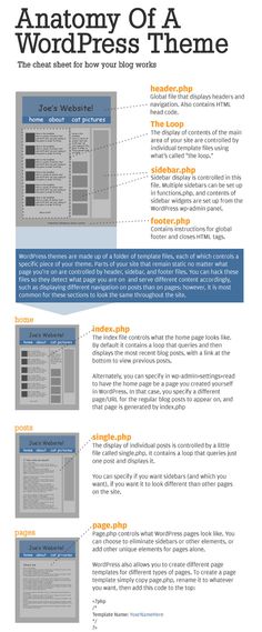 the anatomy of a wordpress theme for your blog or website - infografic com