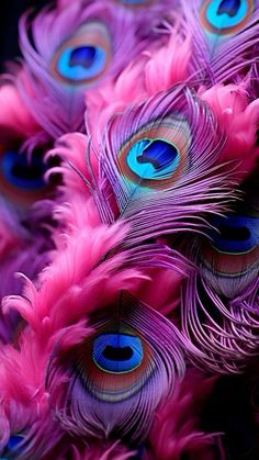 many pink and blue feathers are arranged together