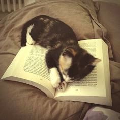 a black and white cat laying on top of an open book that says, book marks come in all shapes & sizes