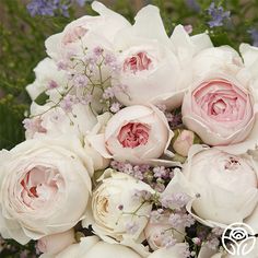 a bouquet of white and pink flowers